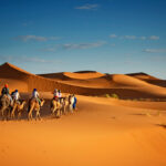 Camel trekking in the Sahara Desert from Marrakech at sunset