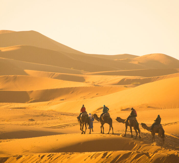 3 Day Desert Tour from Errachidia To Fes