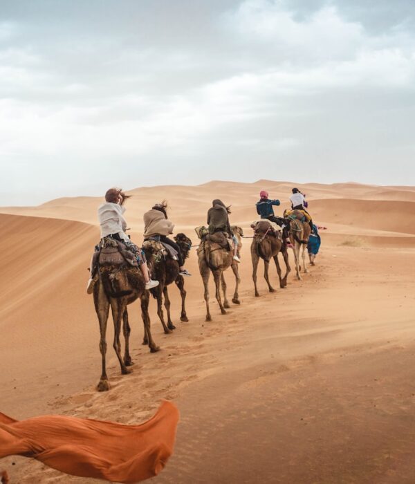 several people riding camels on desert during daytime